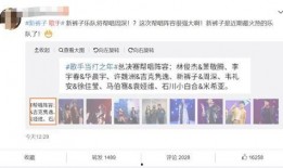 李宇春华晨宇最新爆料,揭秘音乐背后的故事与情感