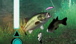 新瓜最新爆料钓鱼视频,钓鱼视频背后的惊人真相